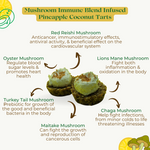 (3) Mushroom Immune Blend Coconut Pineapple Tarts